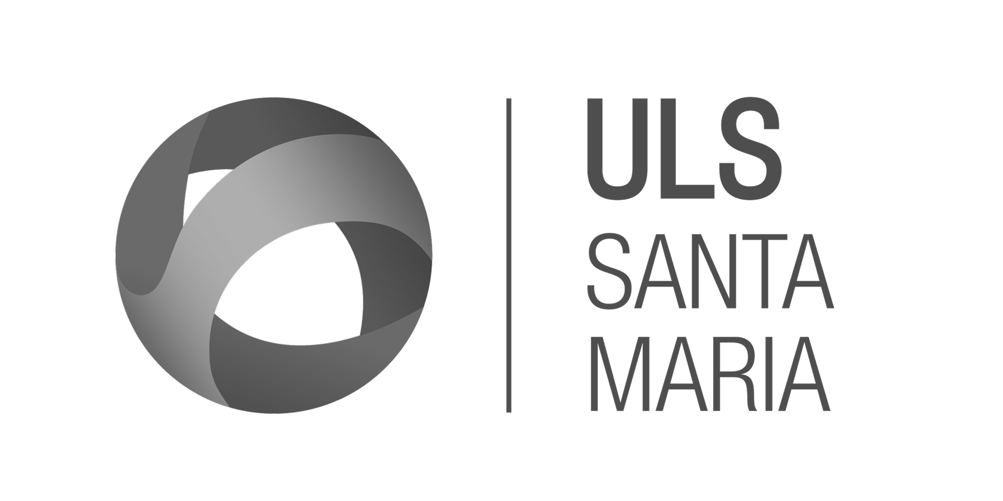 ULS_Logotipo versao secundaria _22. ULS SANTA MARIA